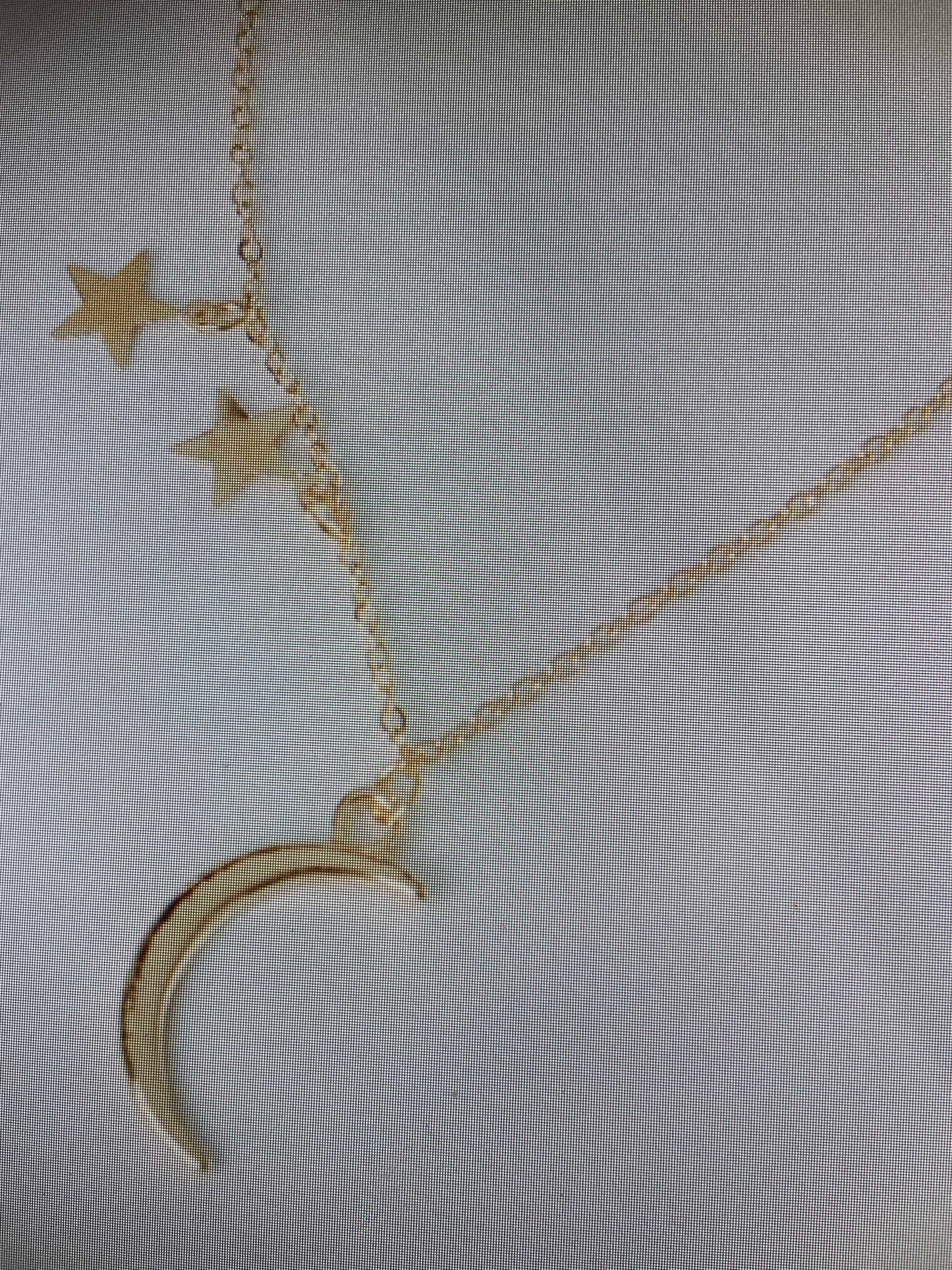 Delicate Gold tone Moon Star theme Chain Style Necklace.